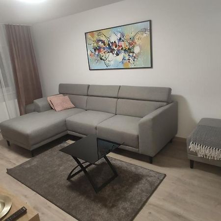 Popasu Din Oras Leilighet Baia Mare Eksteriør bilde